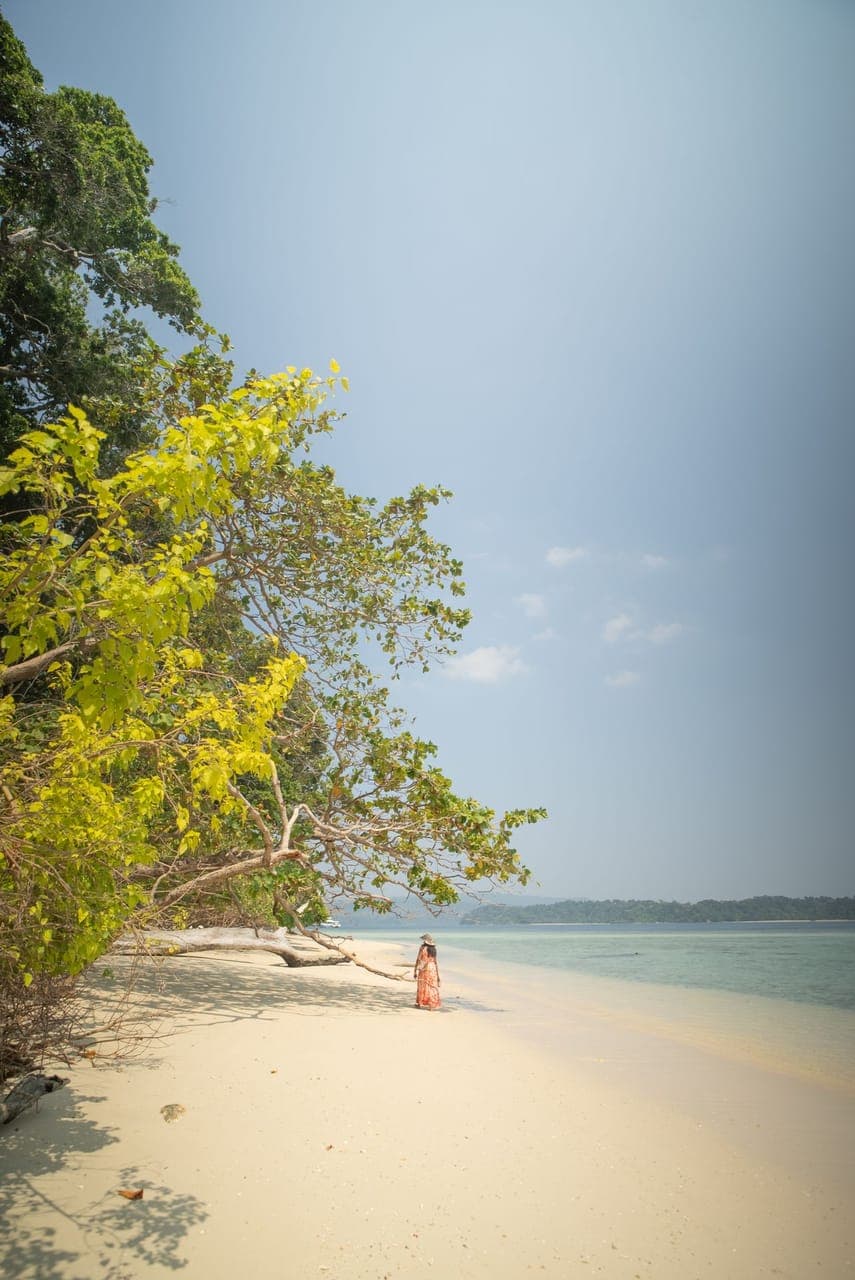 Corbyn's Cove Beach