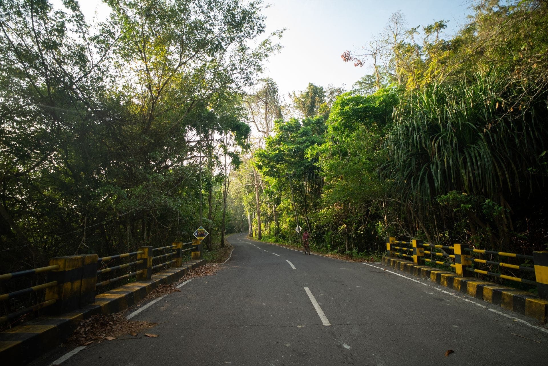 Havelock Island
