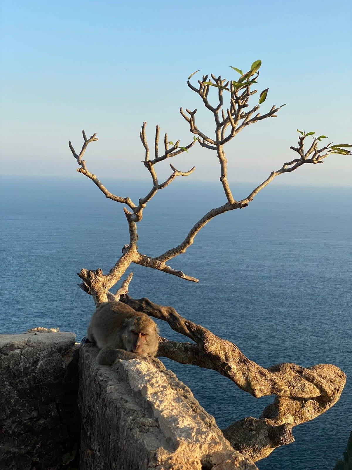 Uluwatu Temple