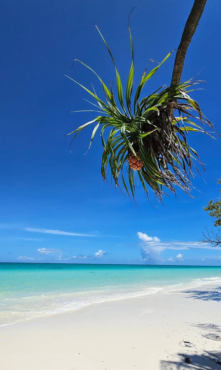 Bali Beach