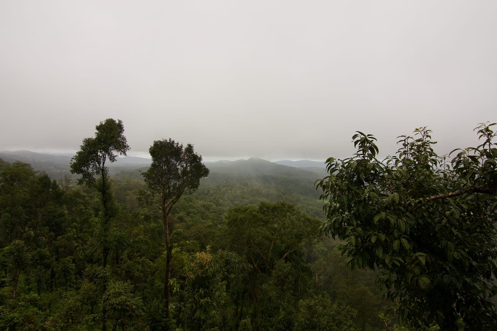 Jhari Falls