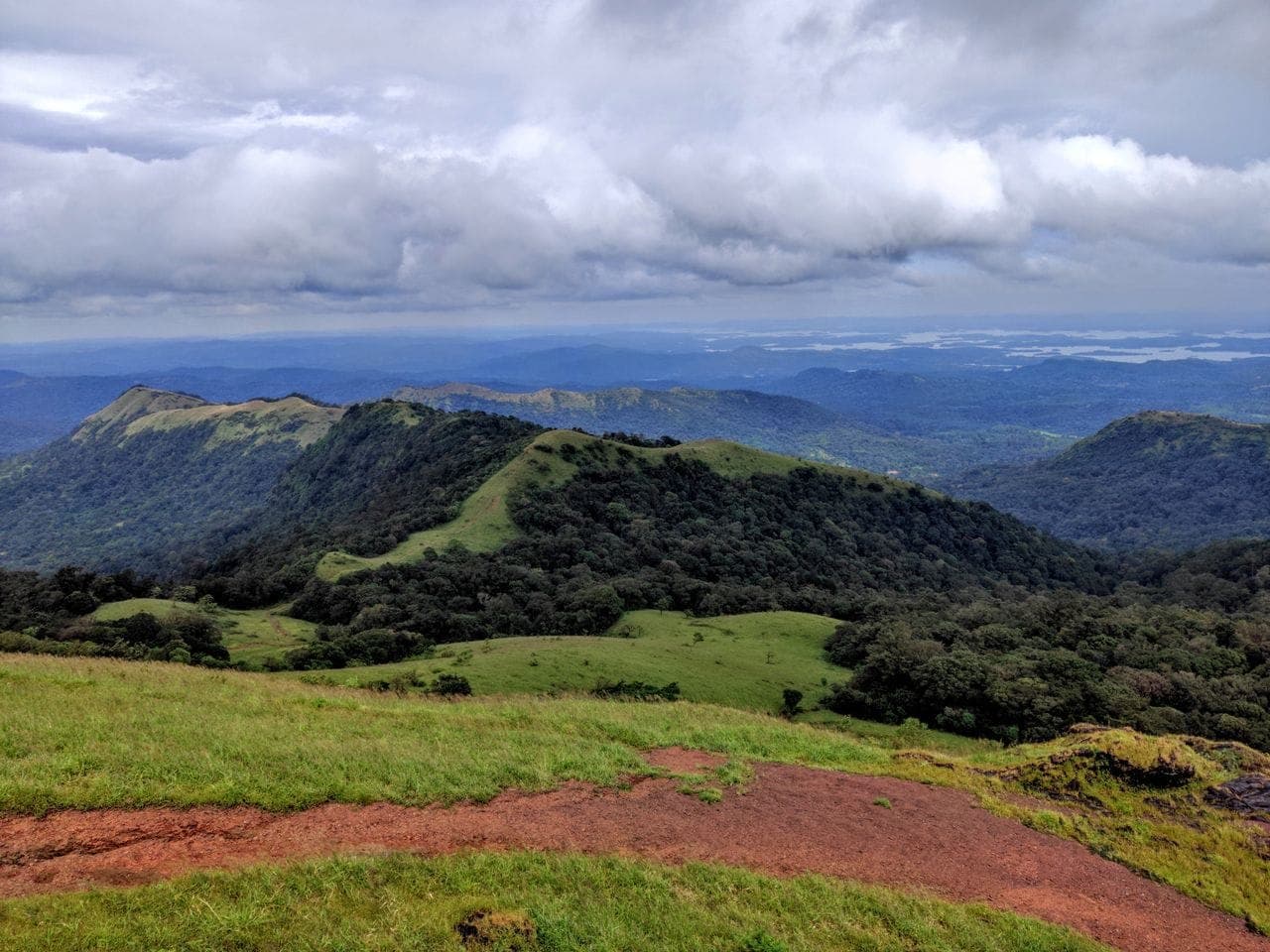 Chikmagalur Coffee Estate