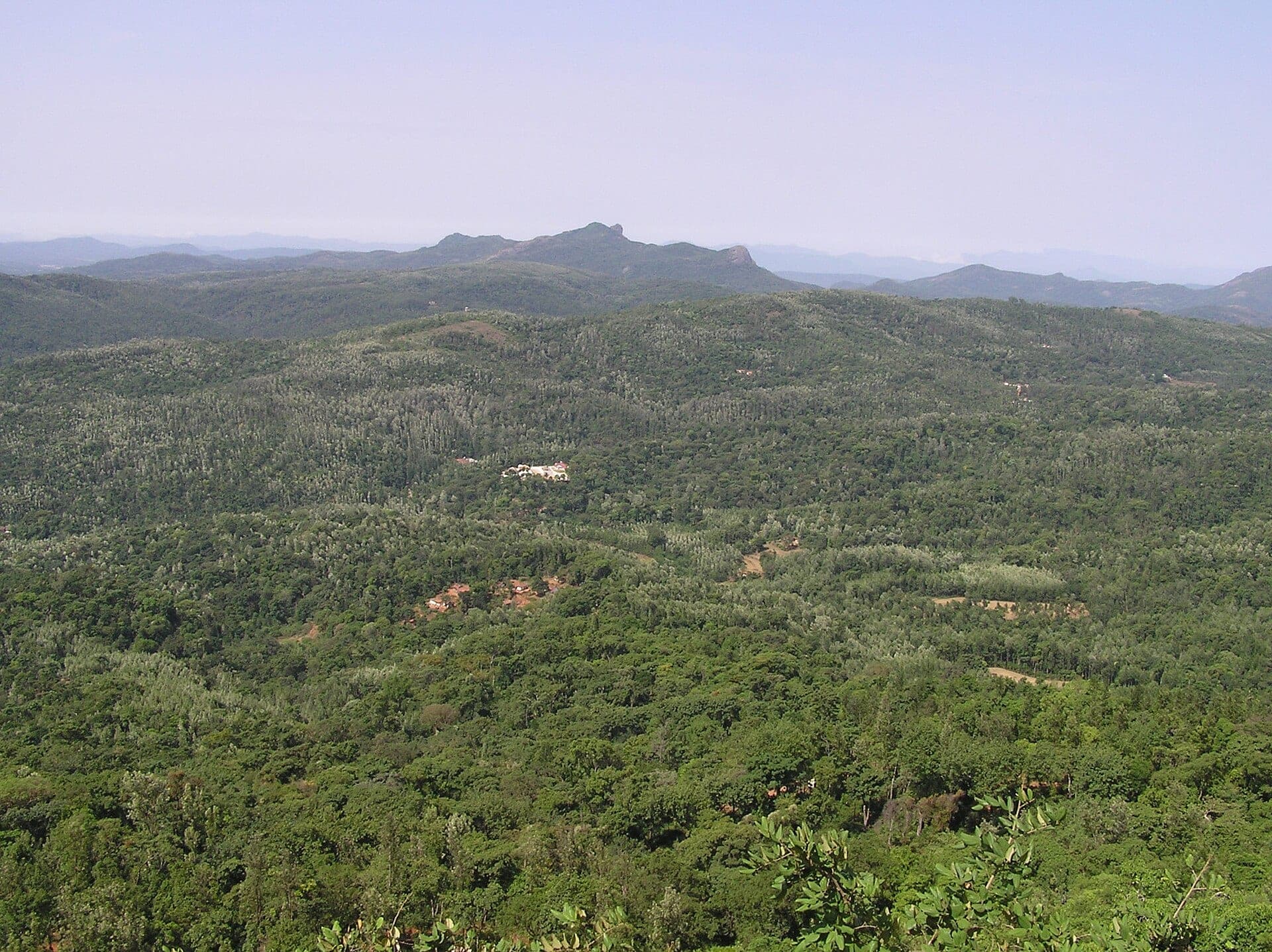 Shade-grown coffee estates of Chikmagalur