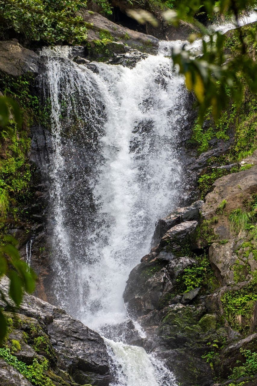Abbey Falls Coorg