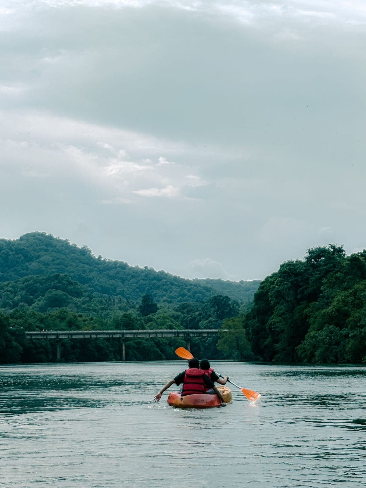 Kali River Dandeli