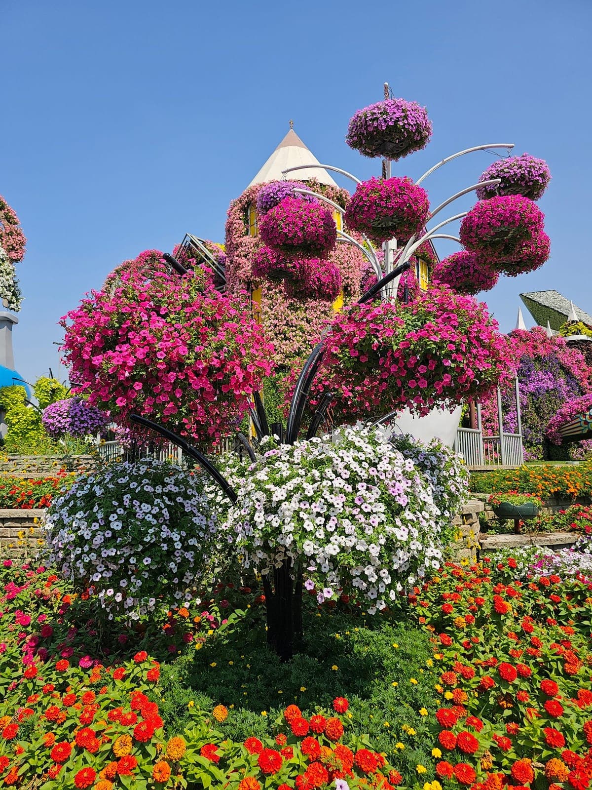 Dubai Miracle Garden