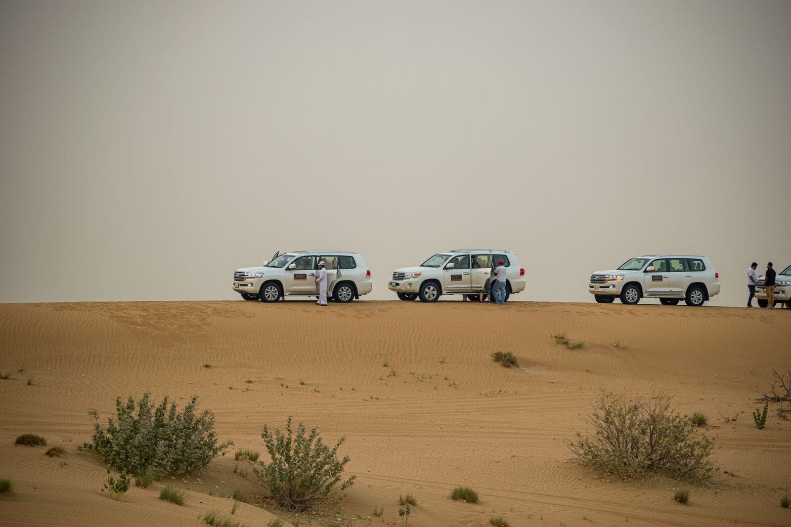 Dubai Desert Safari