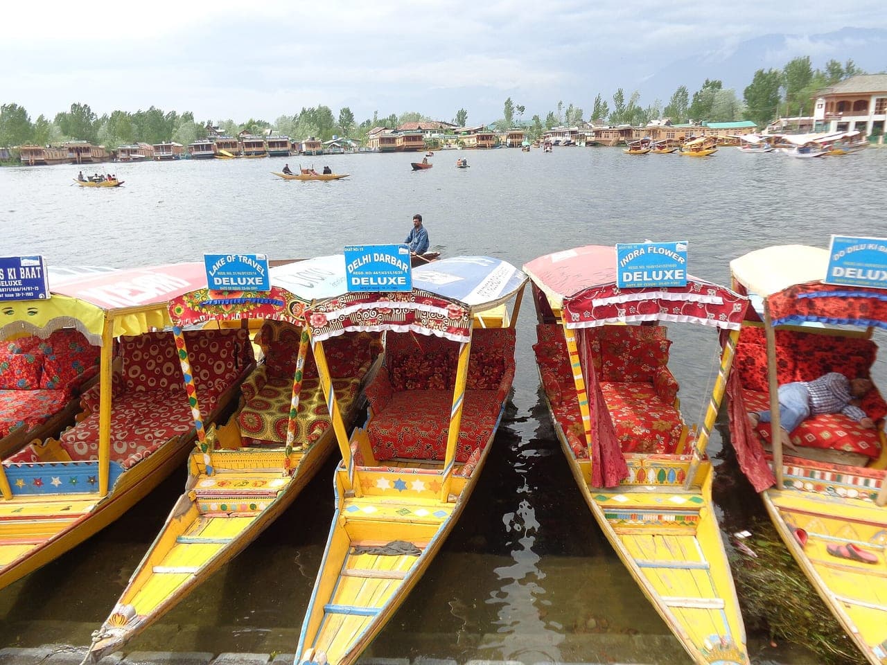 Colourful shikaras on Dal Lake, Srinagar