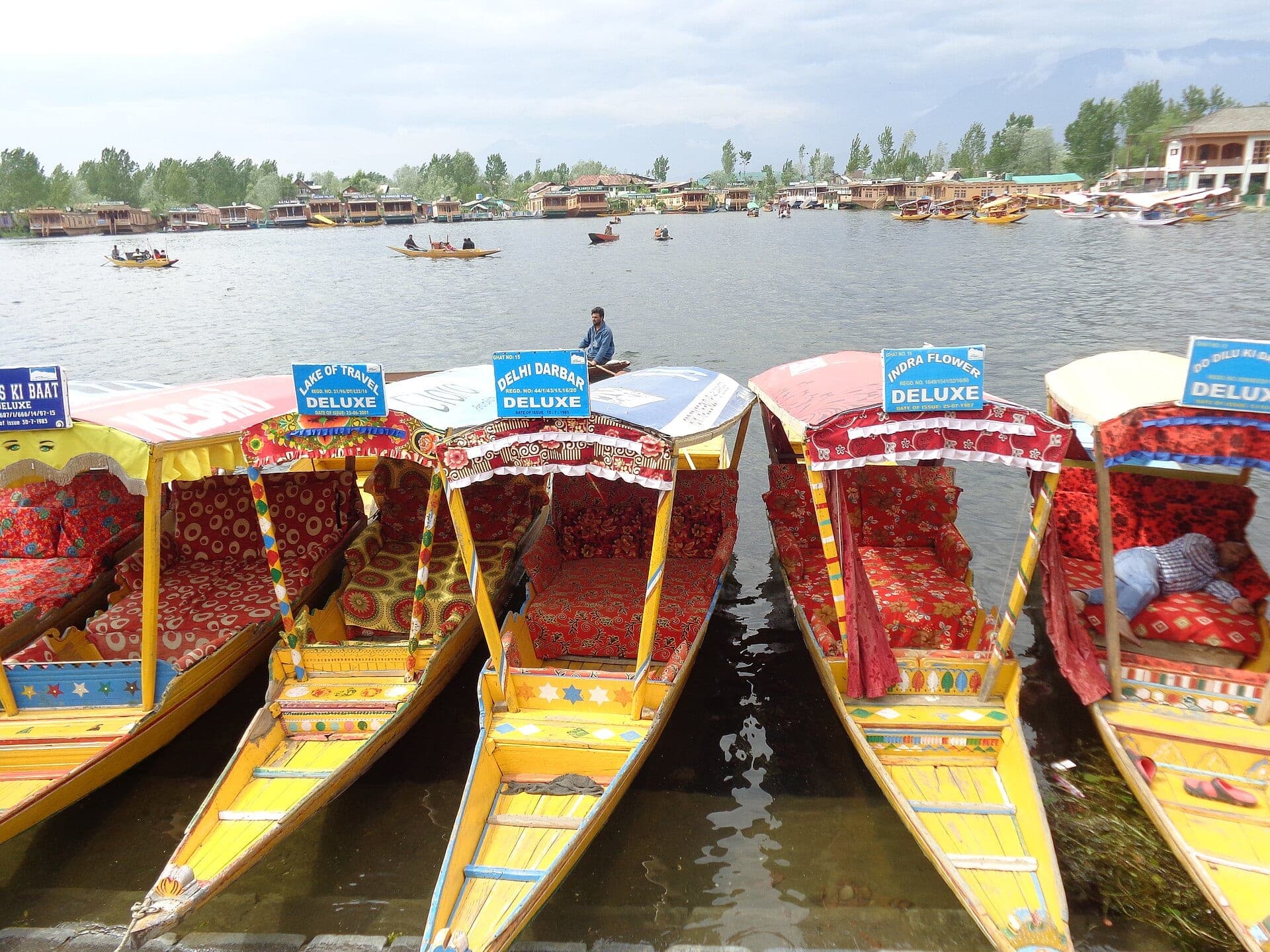 Colourful shikaras on Dal Lake, Srinagar