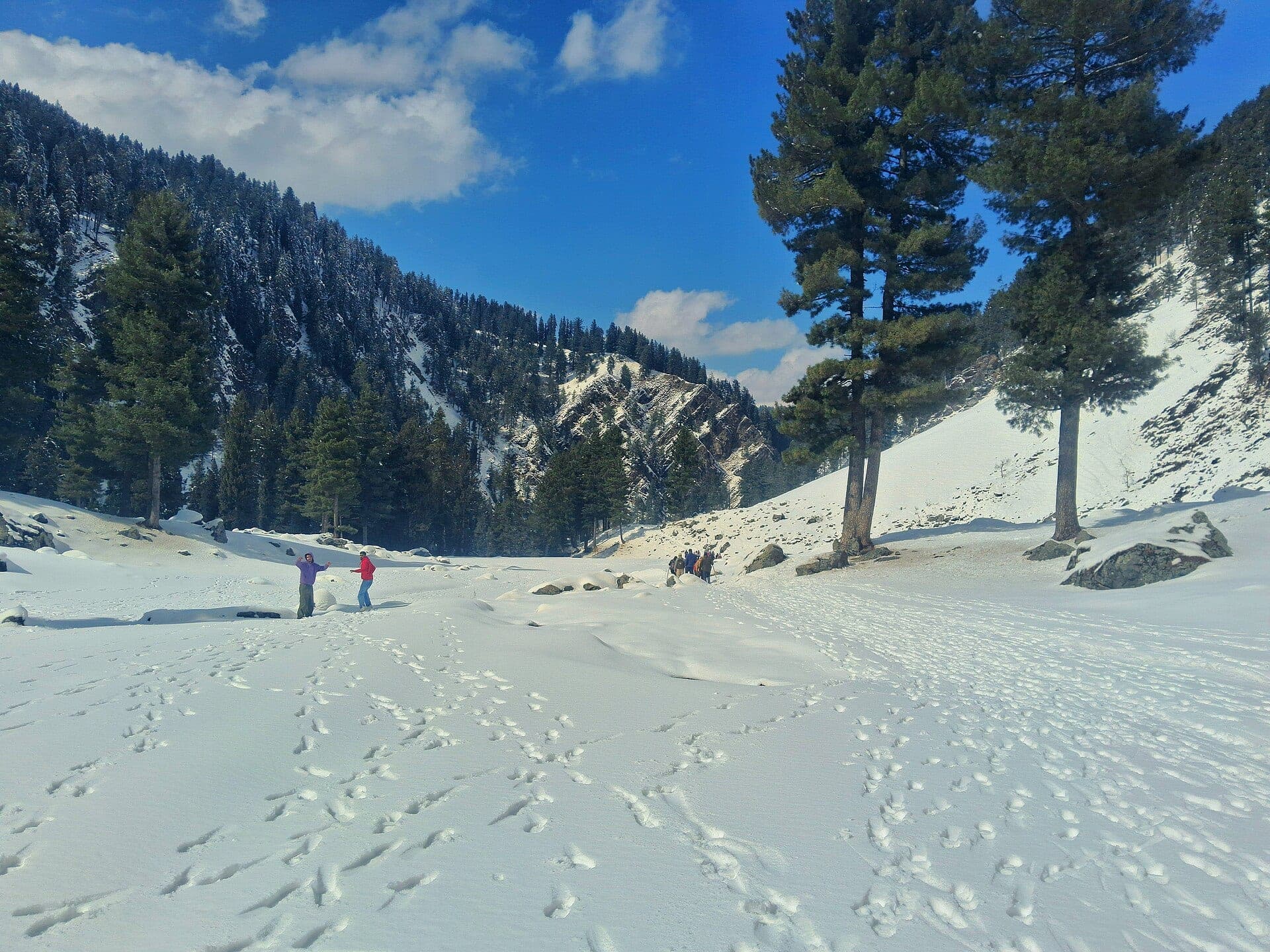 Snowy meadows of Gulmarg