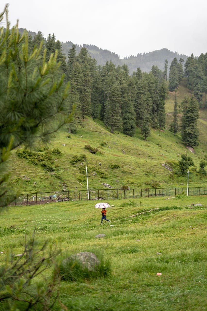 Betab Valley Pahalgam