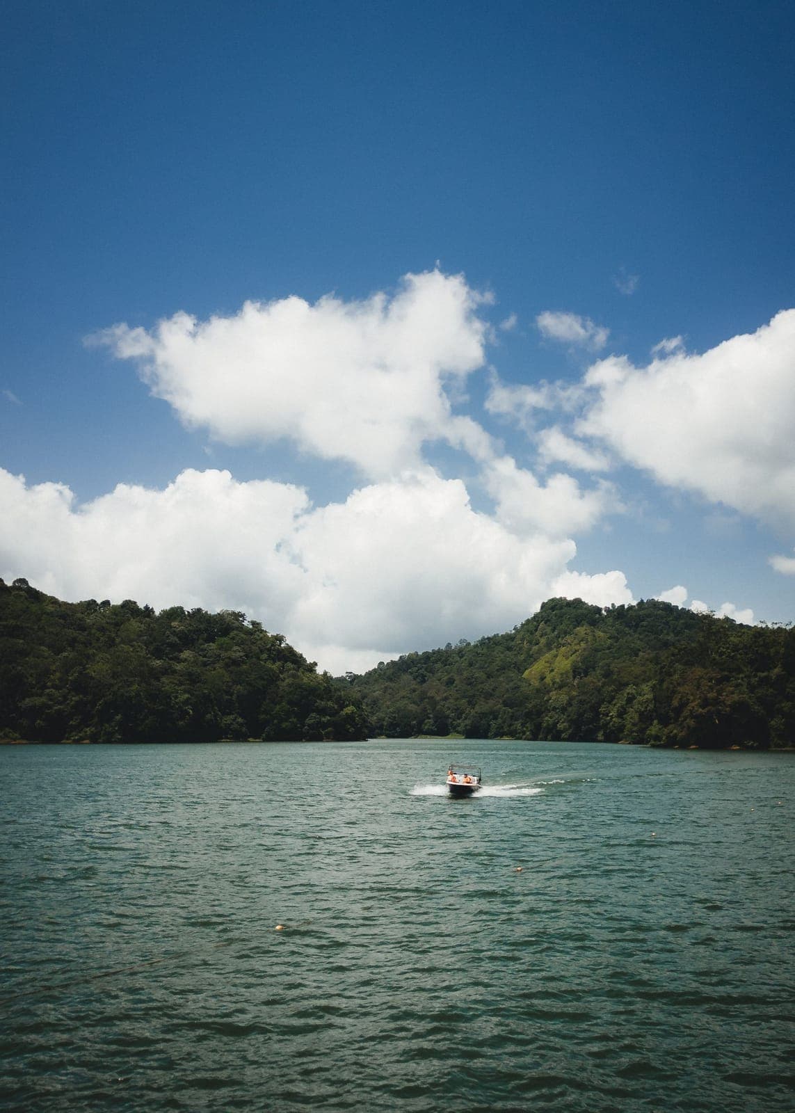 Mattupetty Dam