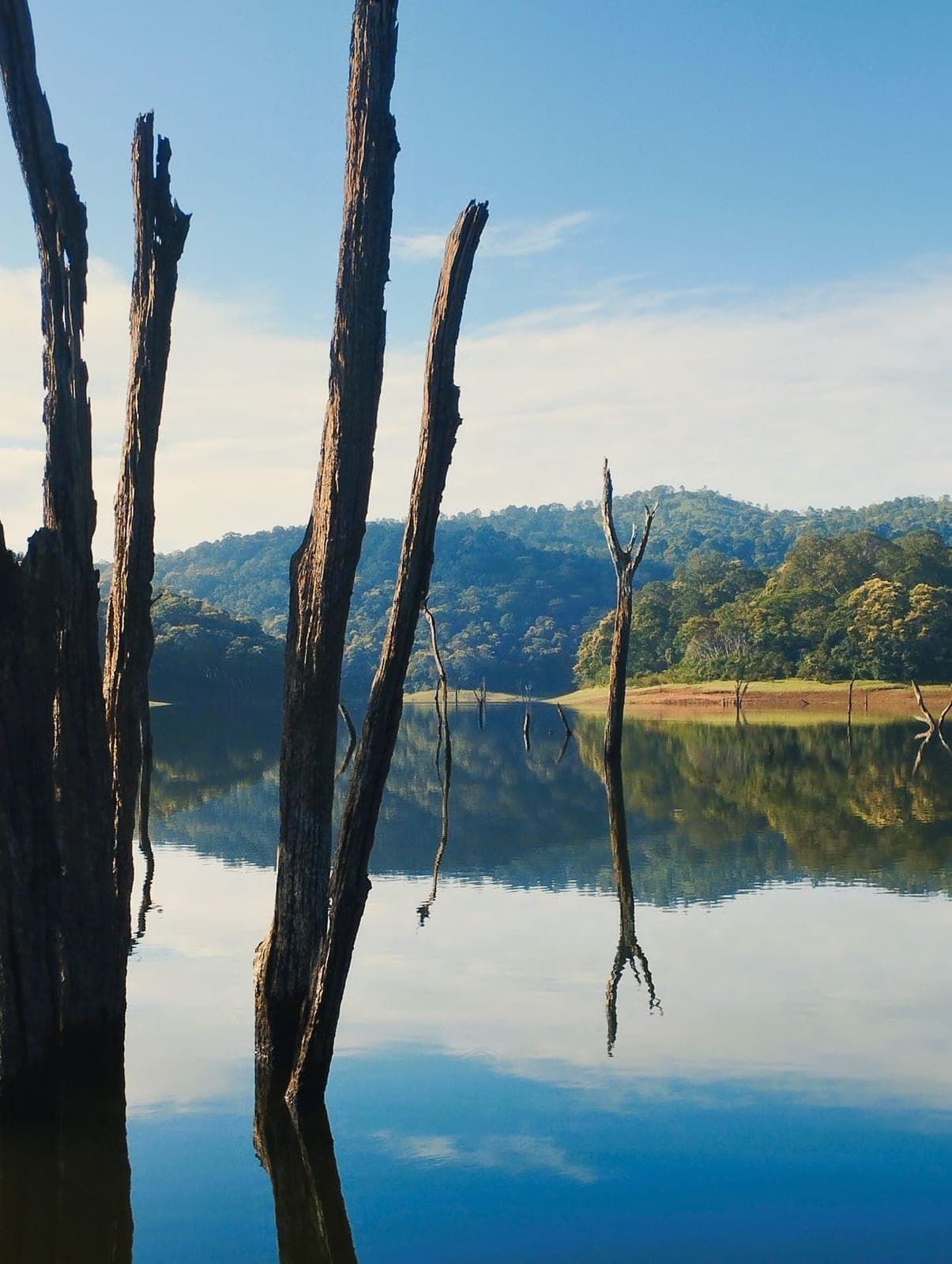 Periyar Lake