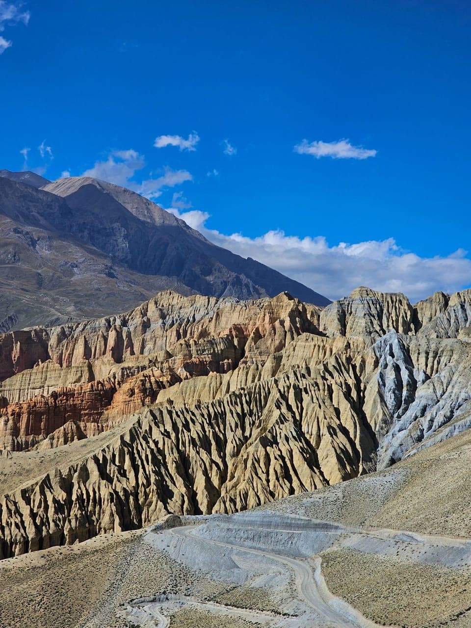 Nubra Valley Ladakh