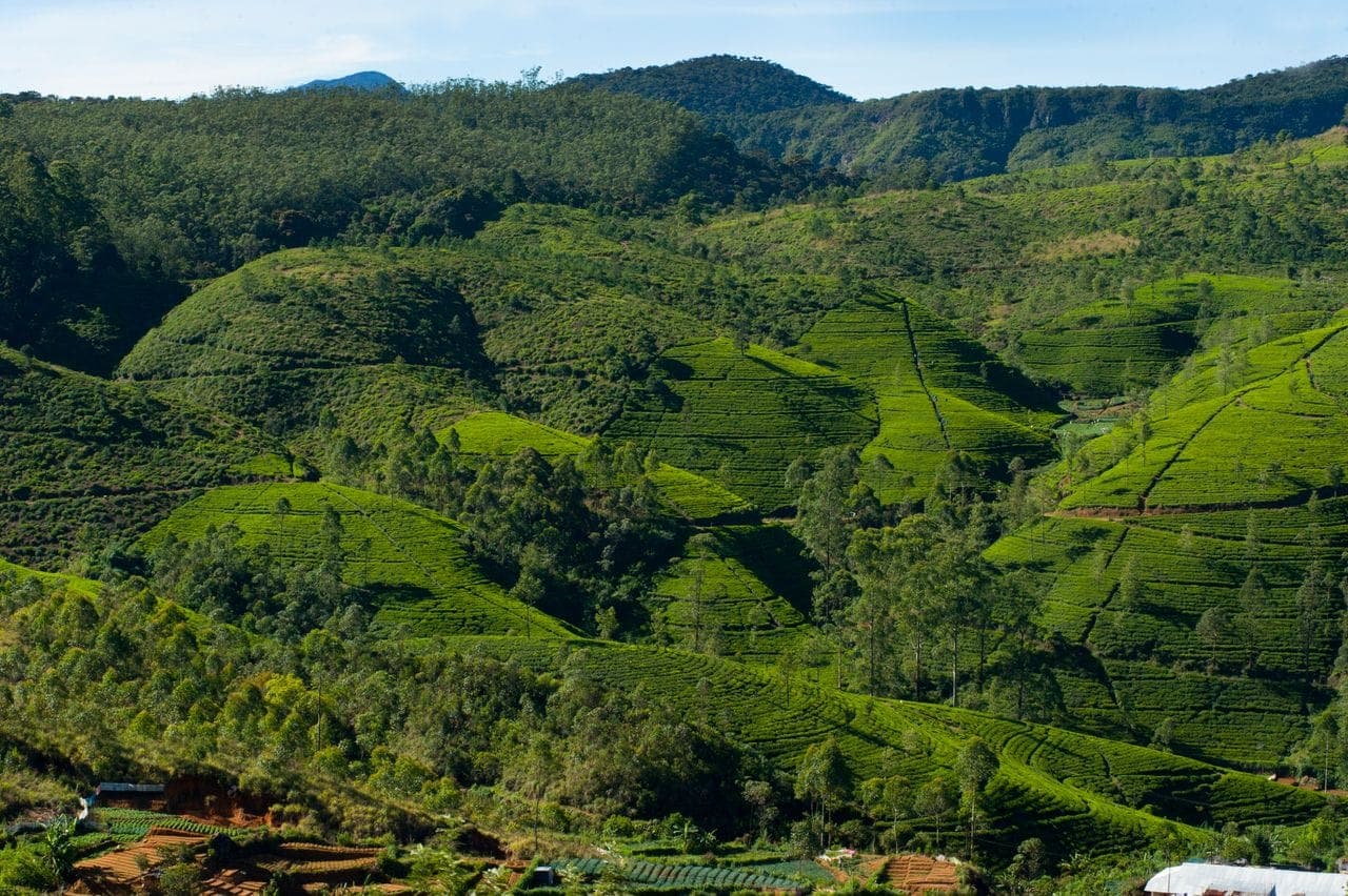 Nuwara Eliya Sri Lanka