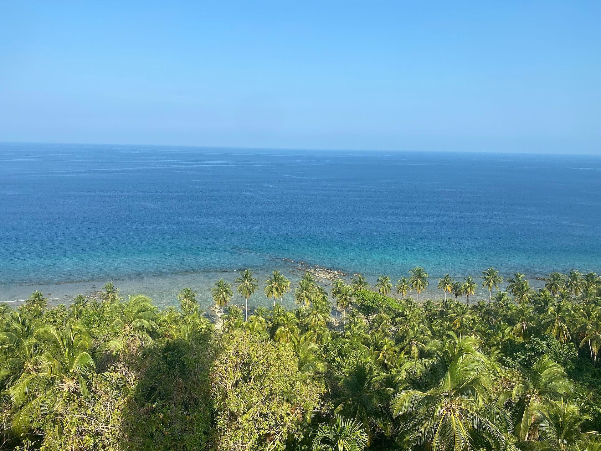 Coral reef and palms at North Bay Island, Andaman