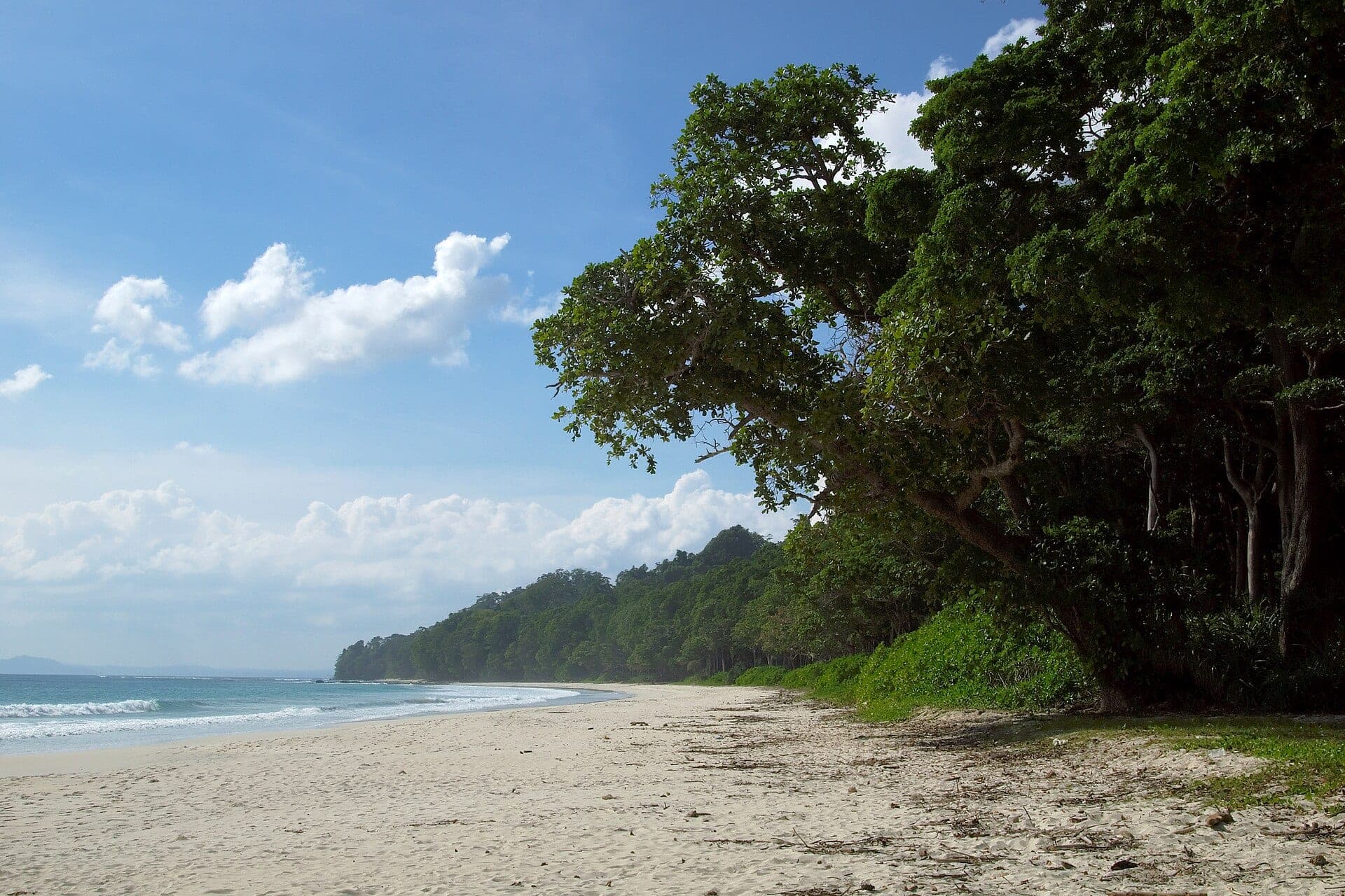 Radhanagar Beach, Havelock Island