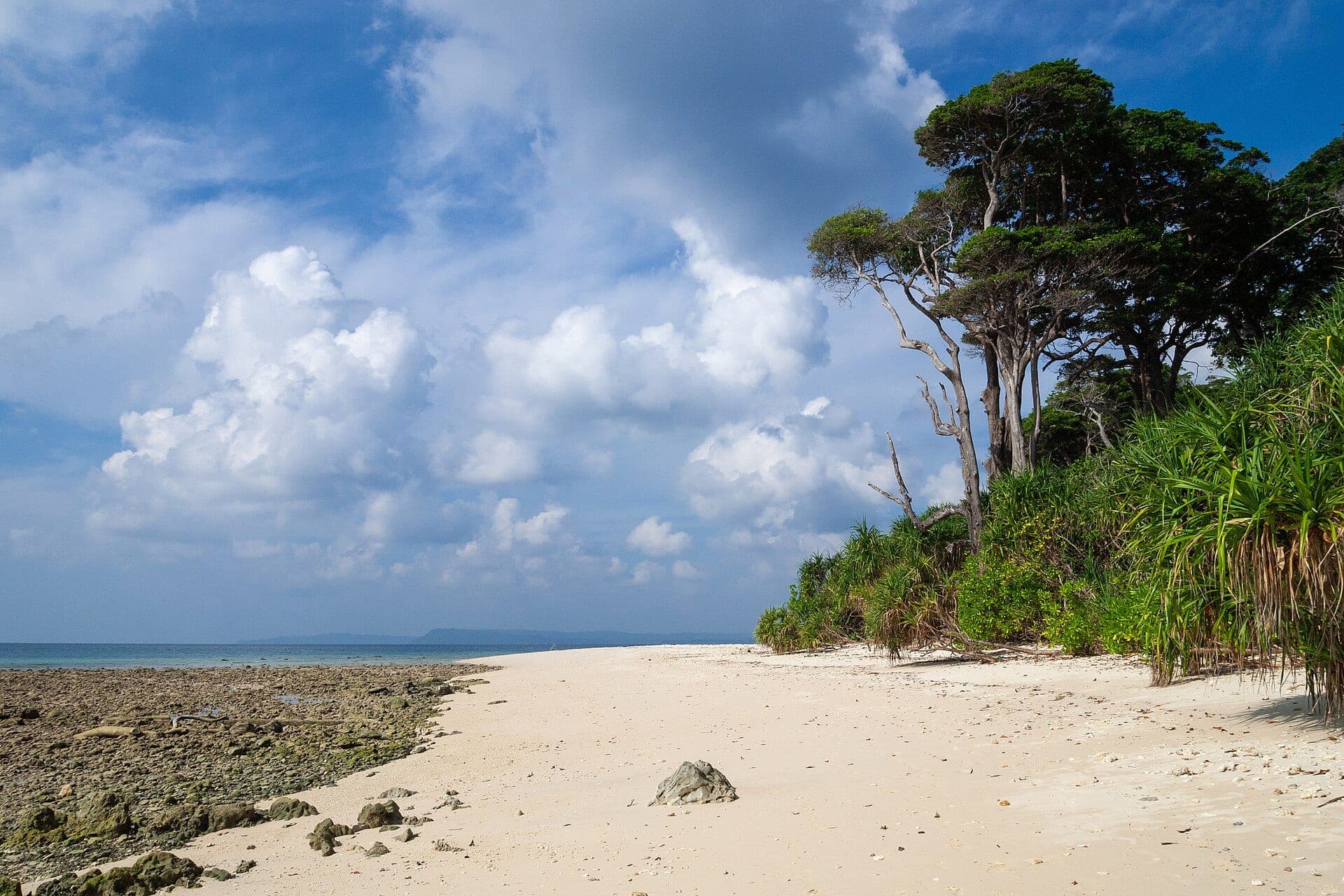 Tropical beach on Neil Island, Andaman