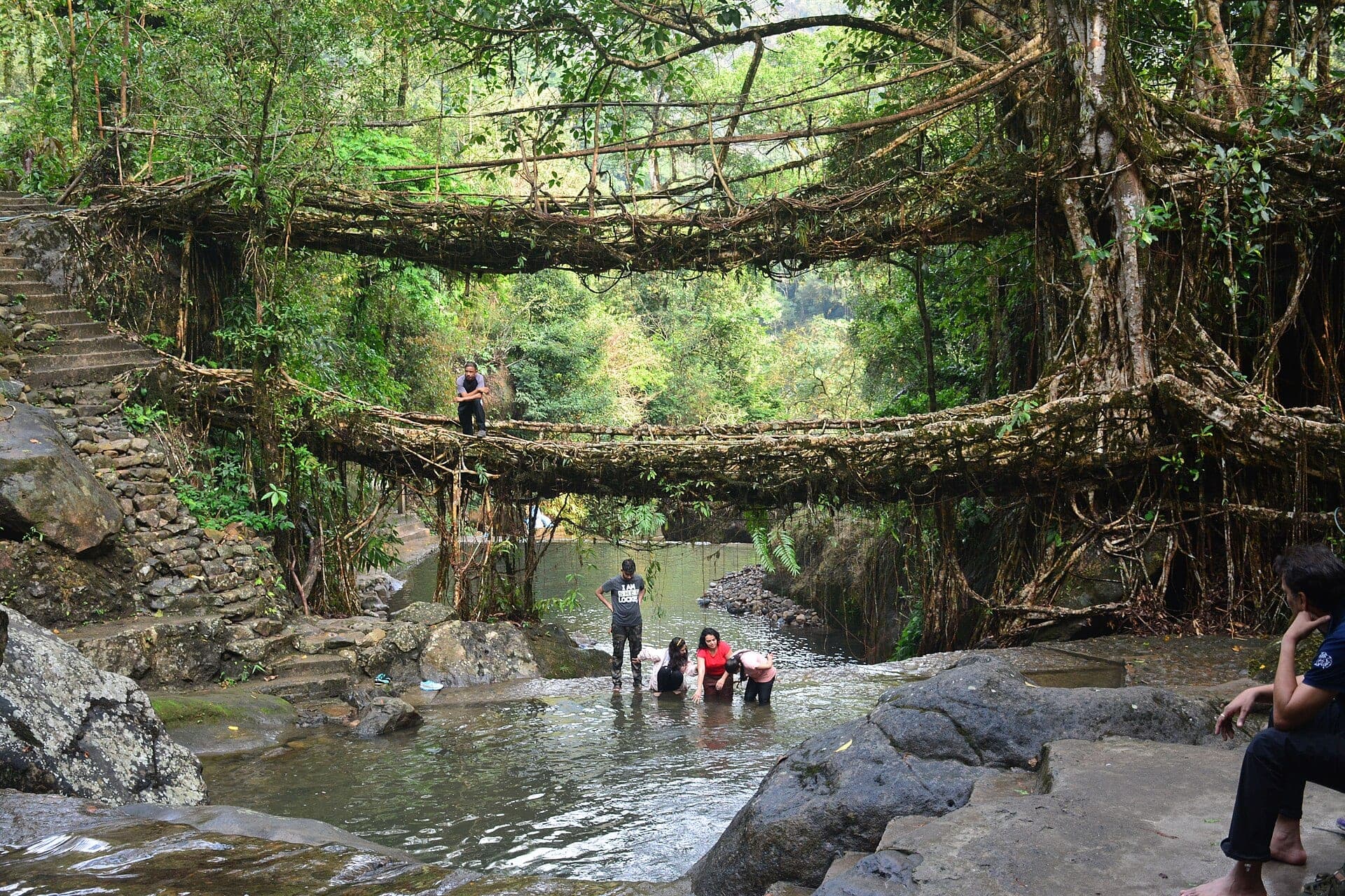 Double-decker living root bridge, Nongriat, Meghalaya