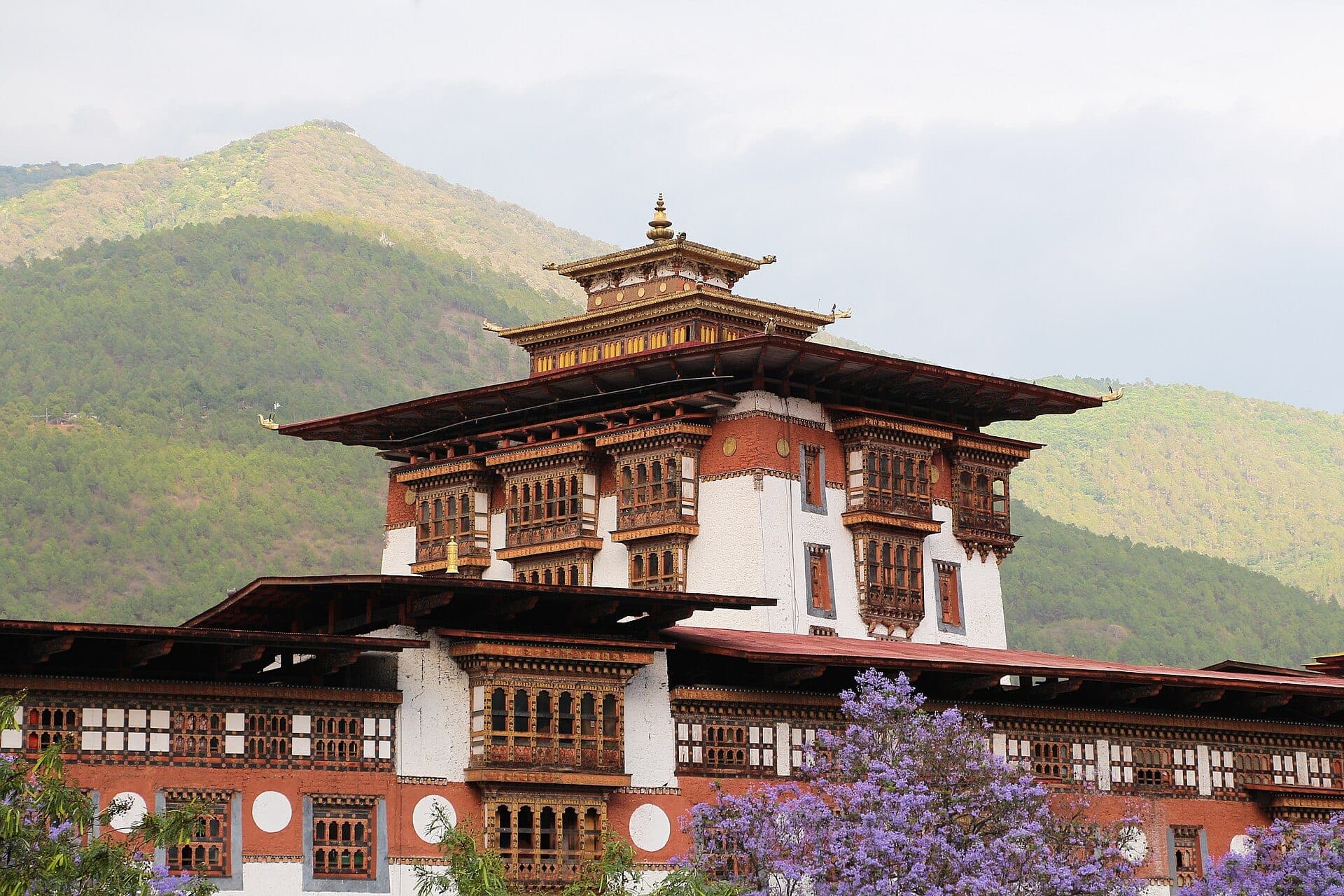 Punakha Dzong with jacaranda blossoms