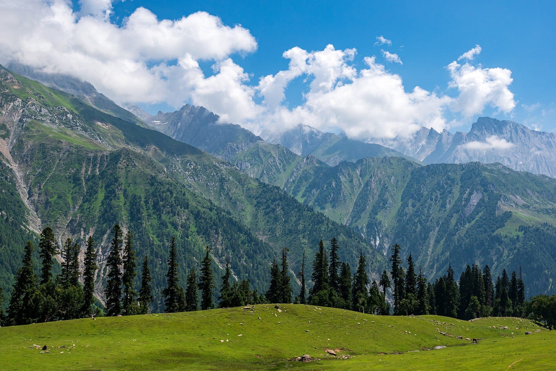 Sonamarg valley