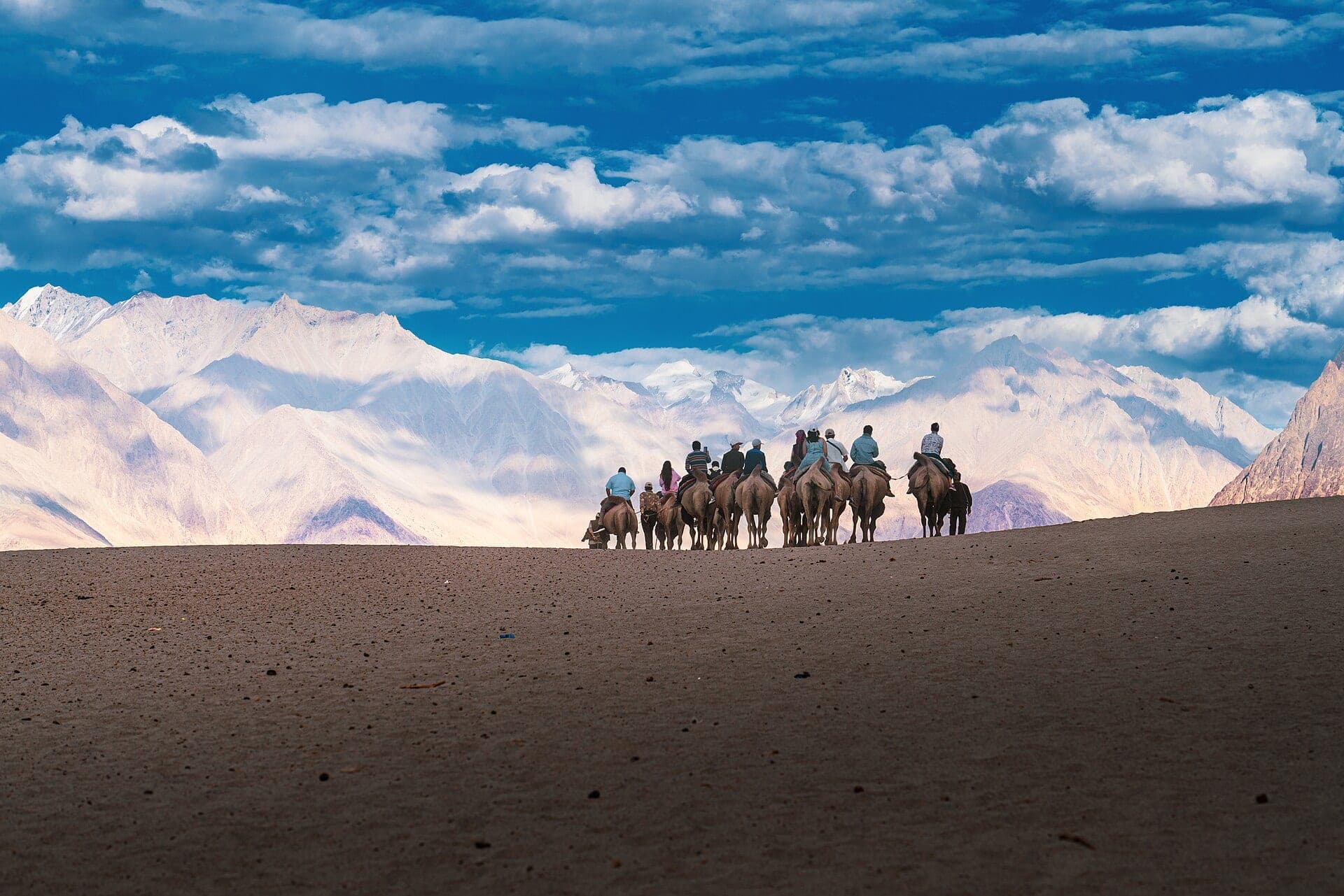Camel safari on the Nubra Valley dunes, Ladakh